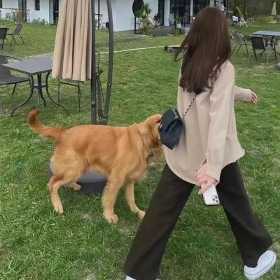 逃亡游戏